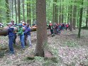 Maibaum_2018 (44)